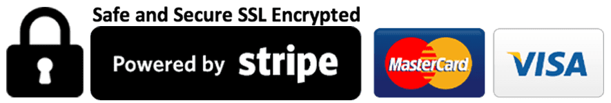 Secure Stripe Payment Logo
