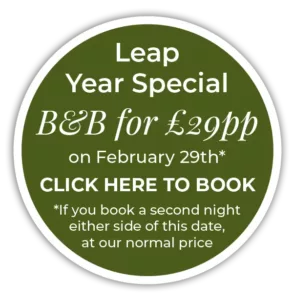 leap year special