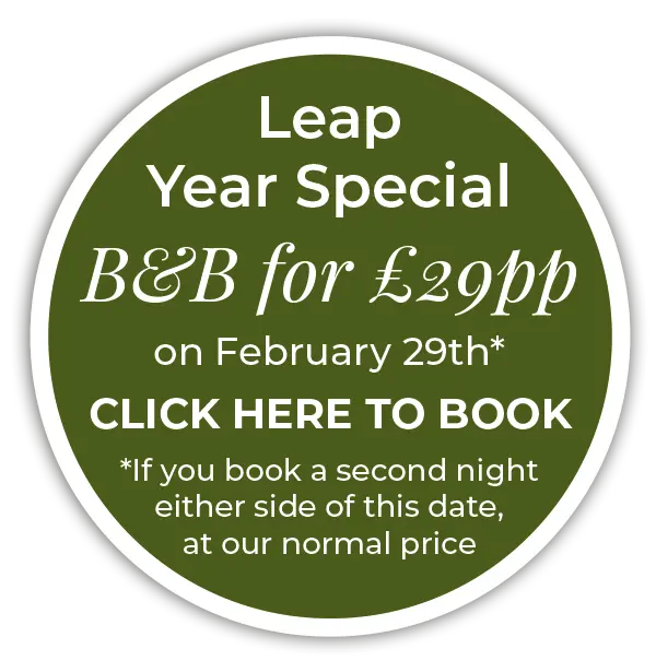 leap year special