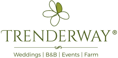 Trenderway-Weddings-Logo-600-3-400x199